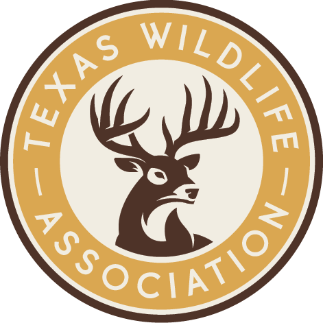 Texas Big Game Awards Celebration - September 18 Abilene - logo